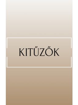 Kitűzők